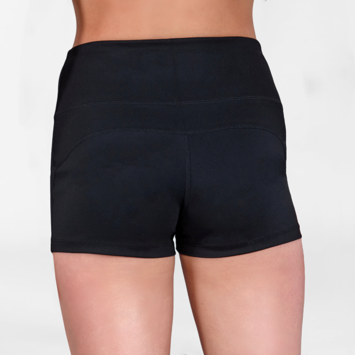Silky  High Waisted Dance shorts